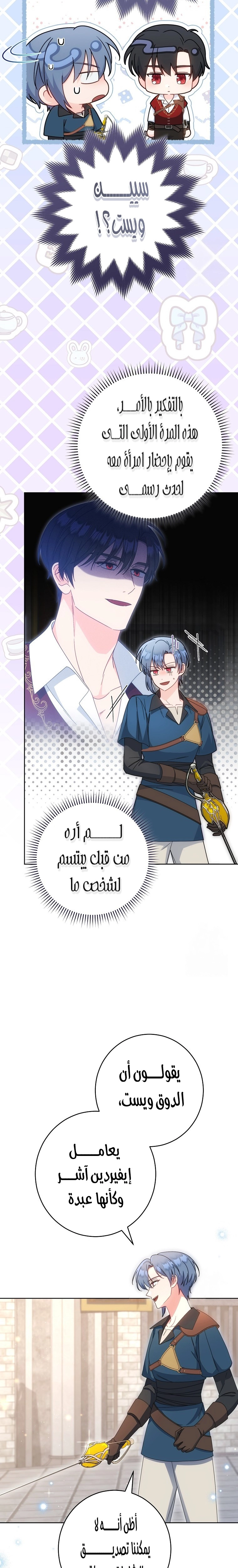 الصفحة 13