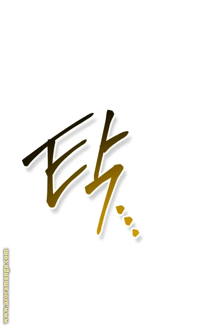 الصفحة 46