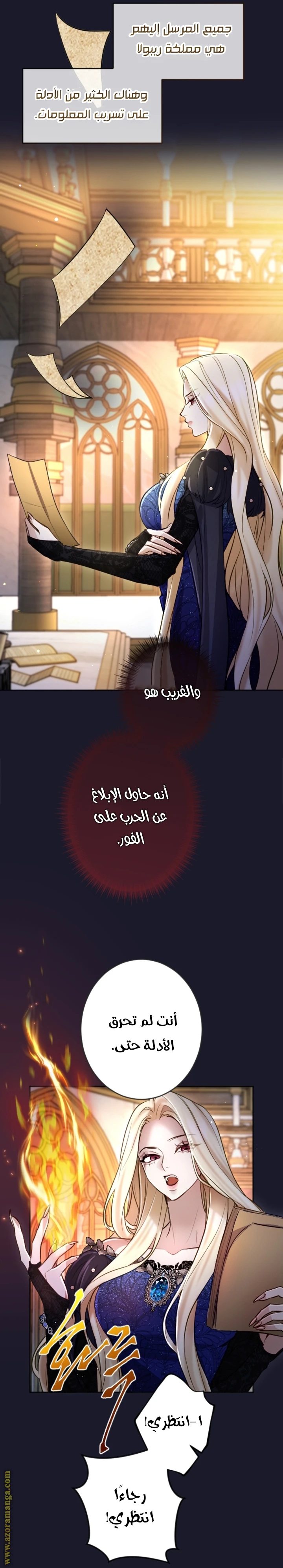 الصفحة 24