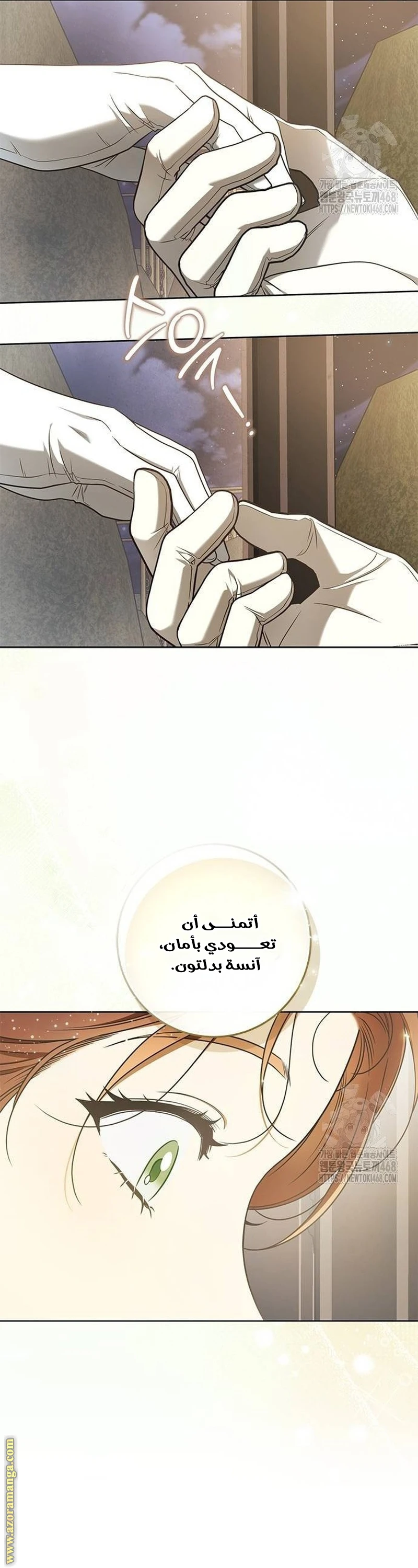 الصفحة 17