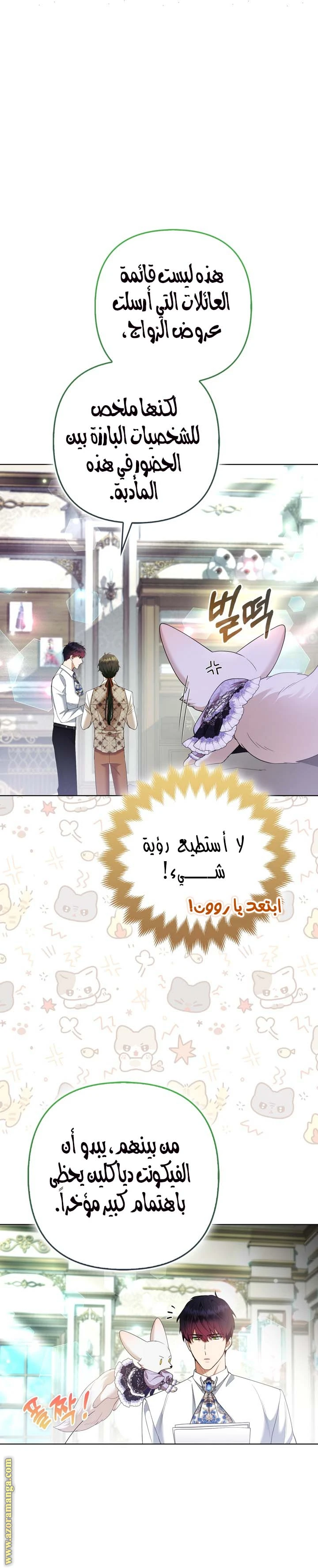 الصفحة 17