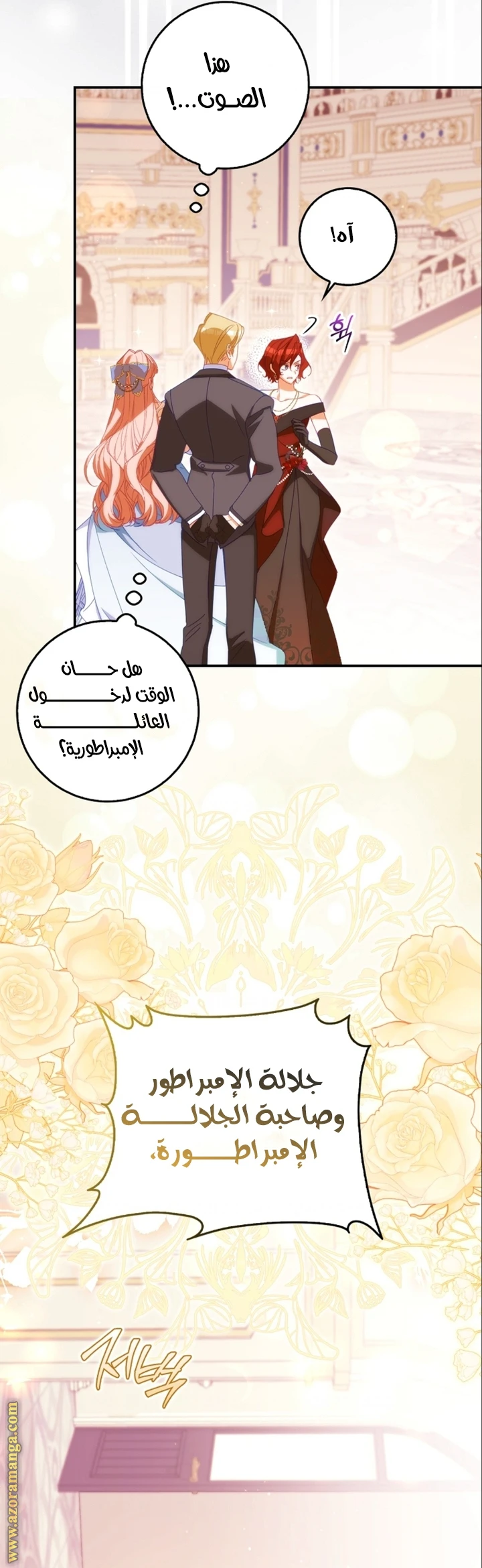 الصفحة 17