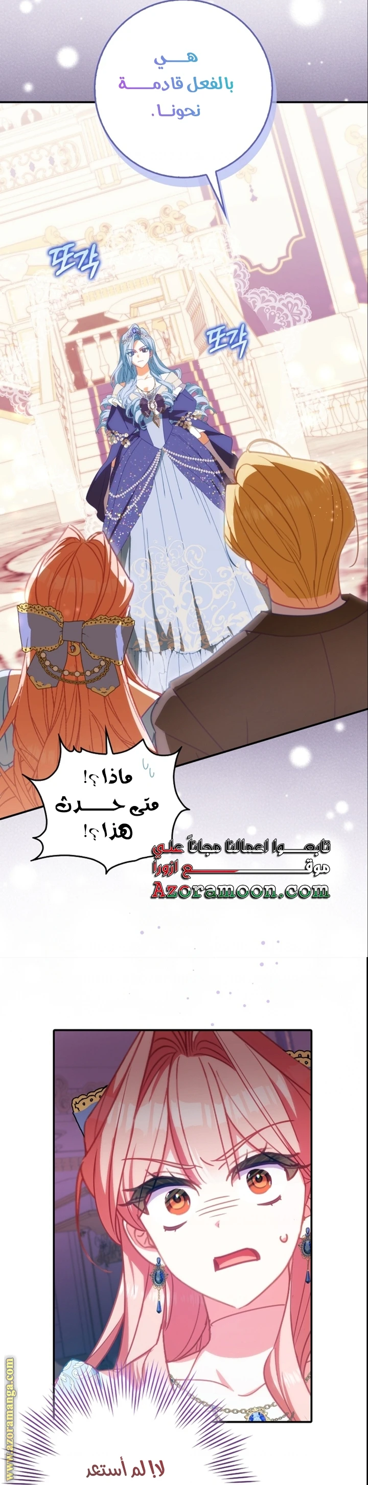 الصفحة 24