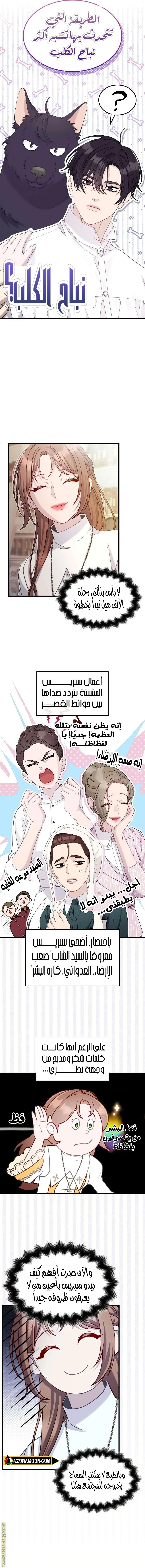 الصفحة 3