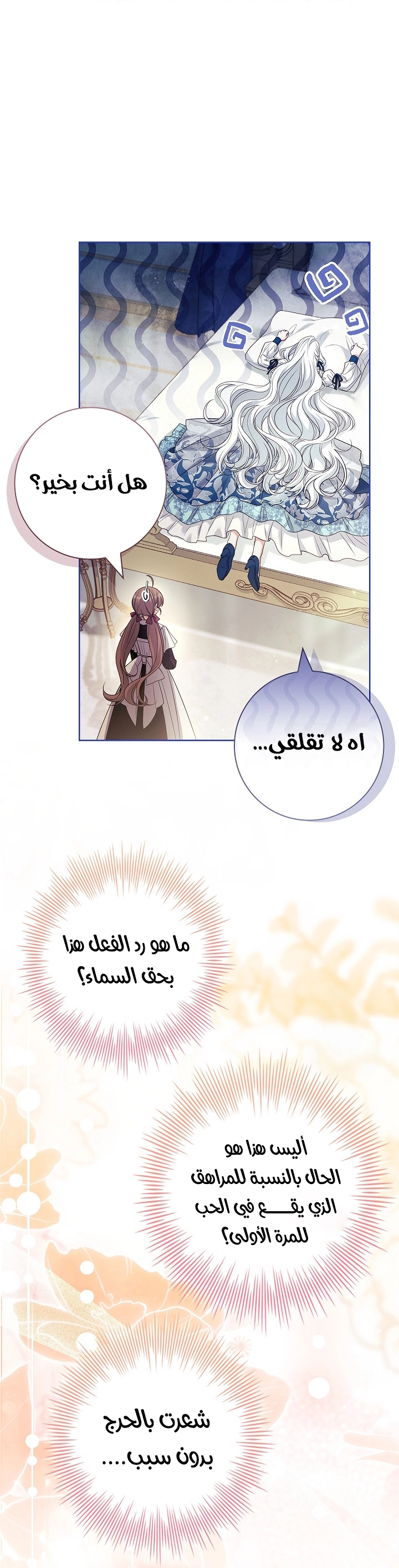 الصفحة 17