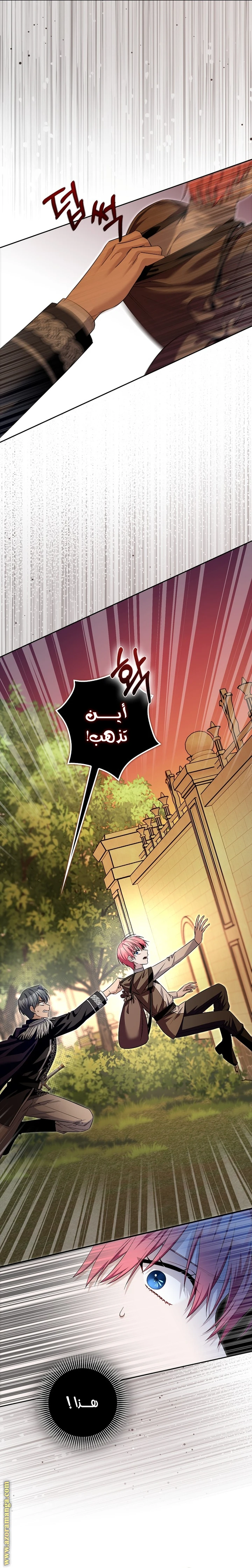 الصفحة 6