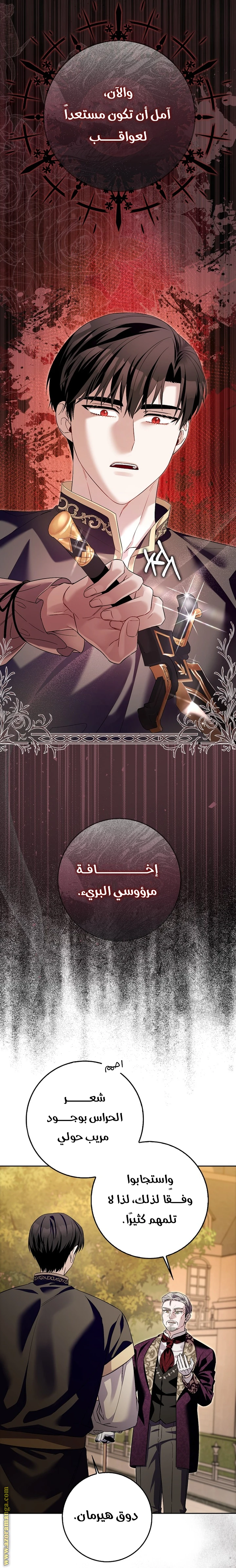 الصفحة 17