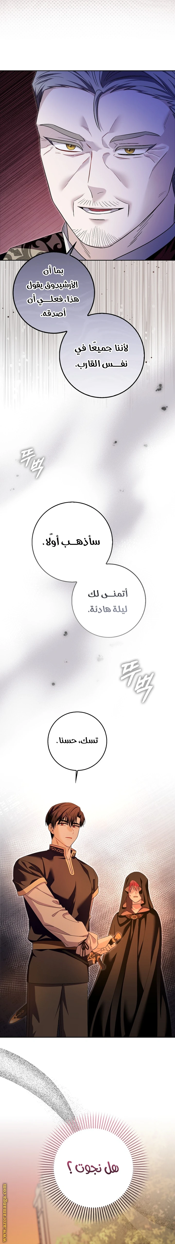 الصفحة 19