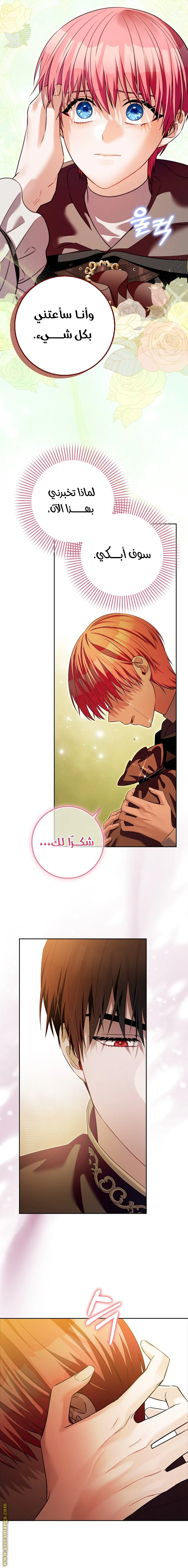 الصفحة 23