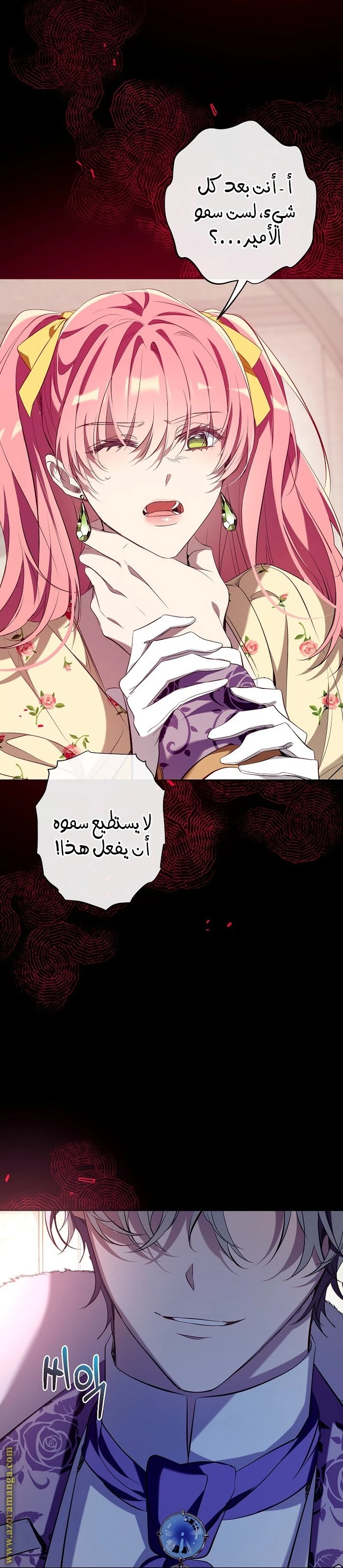 الصفحة 25