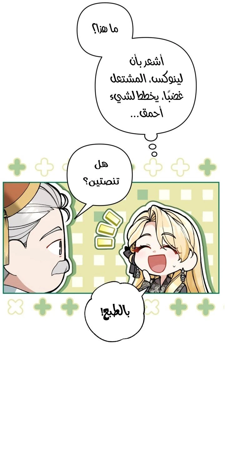 الصفحة 25