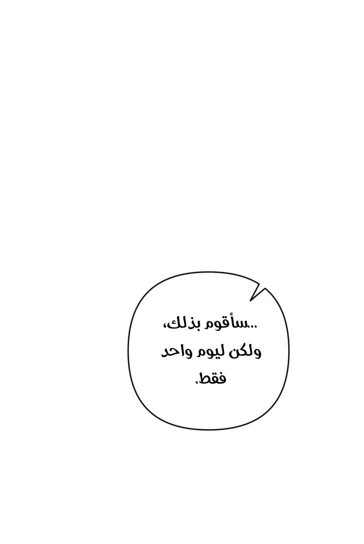 الصفحة 41