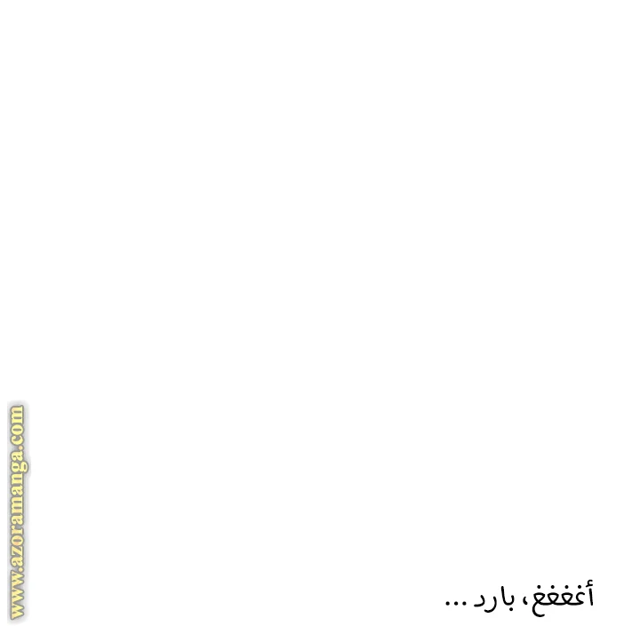 الصفحة 17