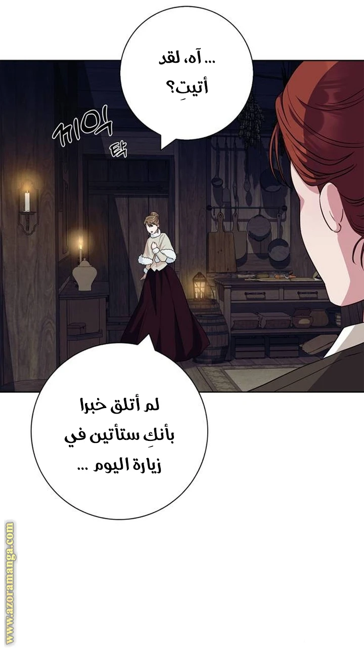 الصفحة 19