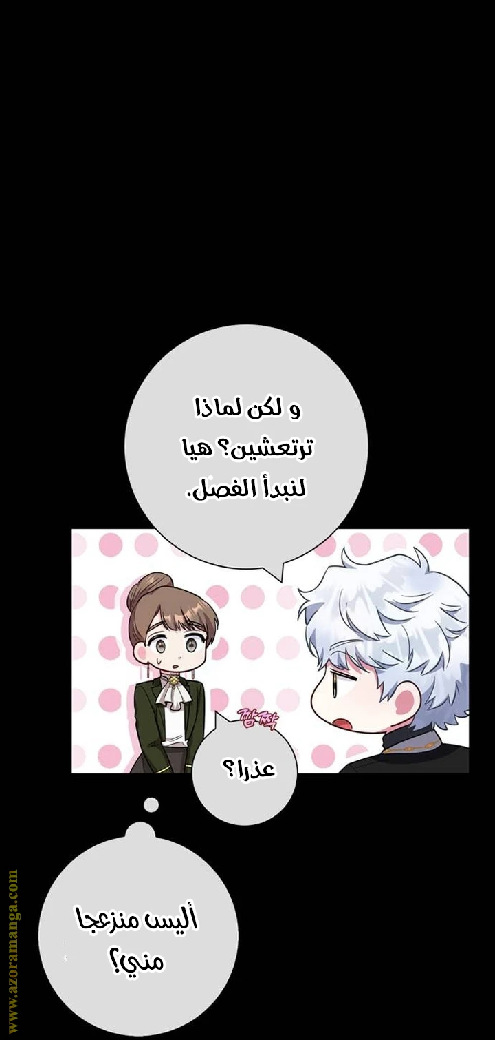 الصفحة 27
