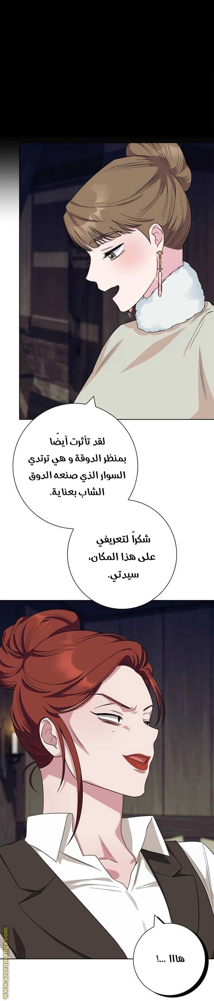 الصفحة 41