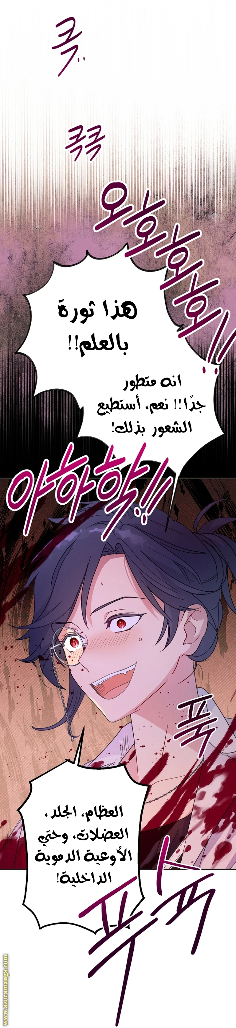 الصفحة 25