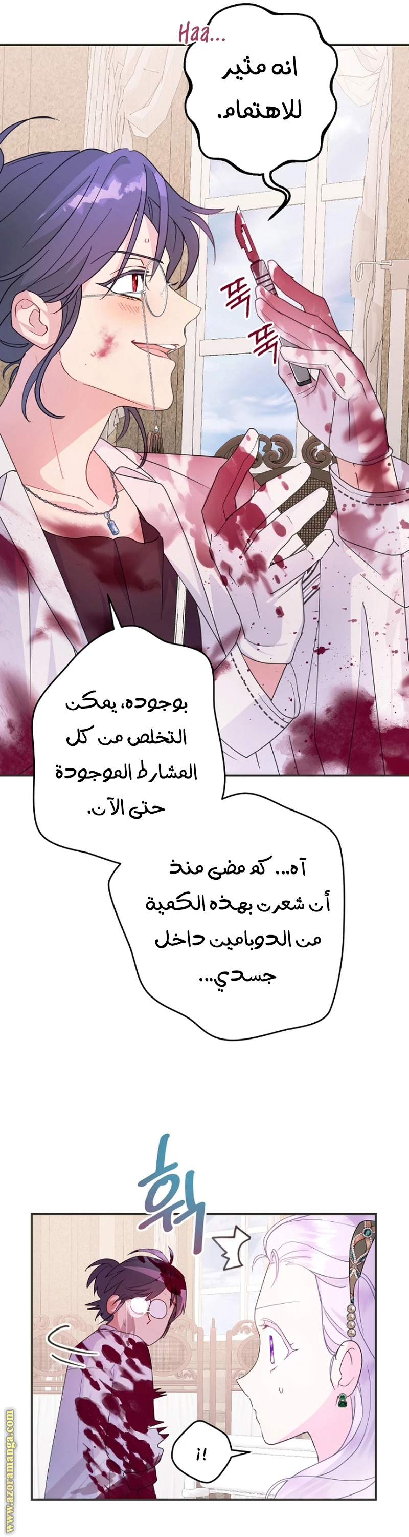 الصفحة 29