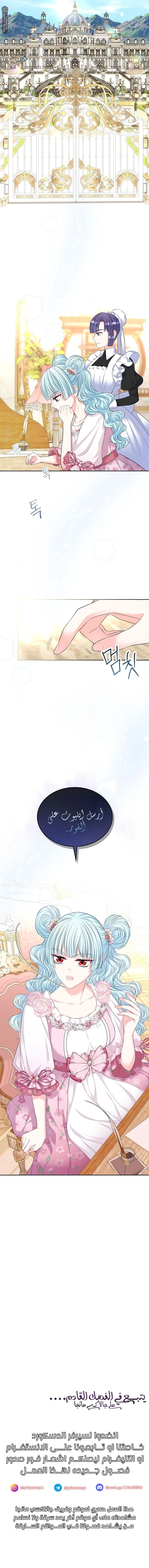 الصفحة 14