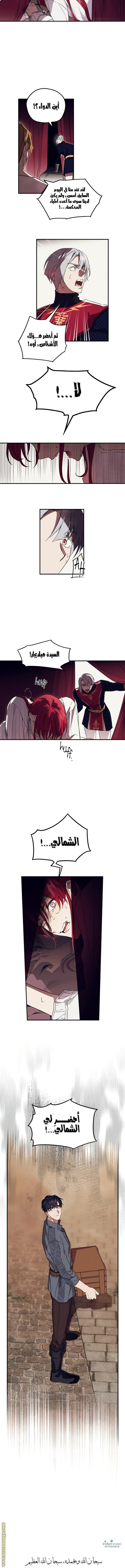 الصفحة 11