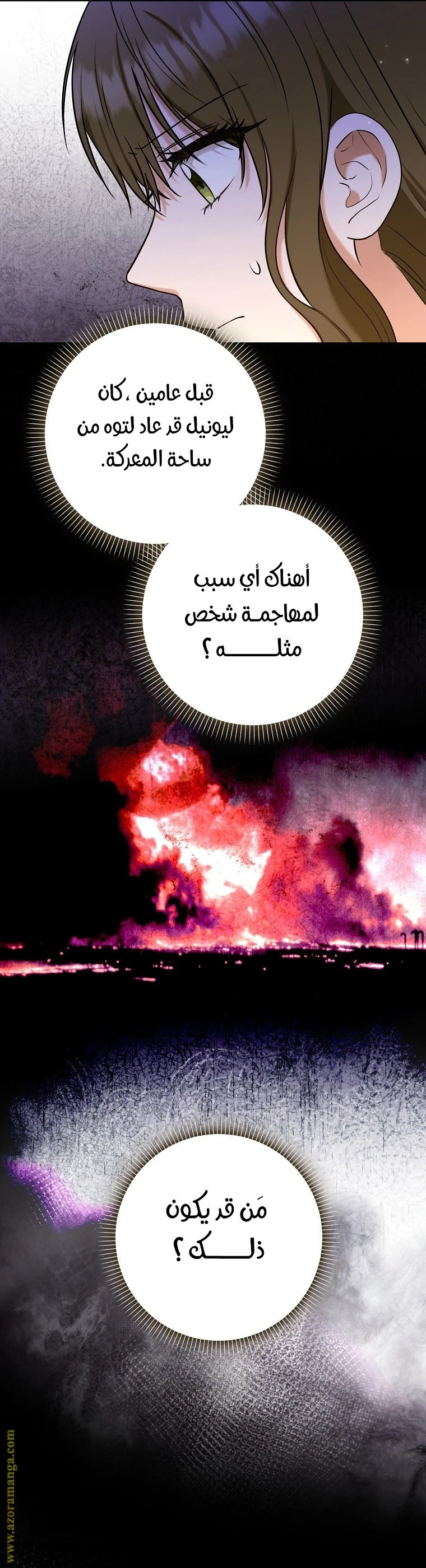 الصفحة 17