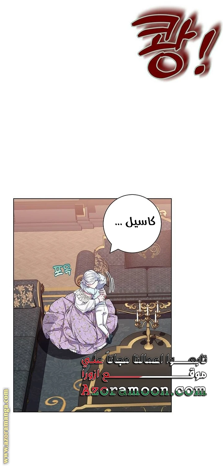 الصفحة 17