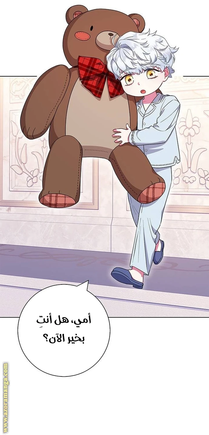 الصفحة 21