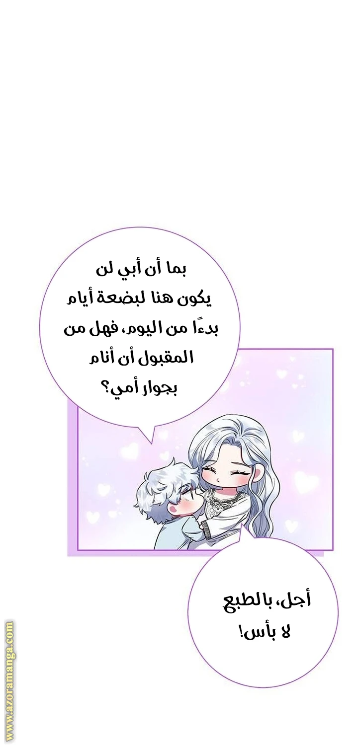 الصفحة 25