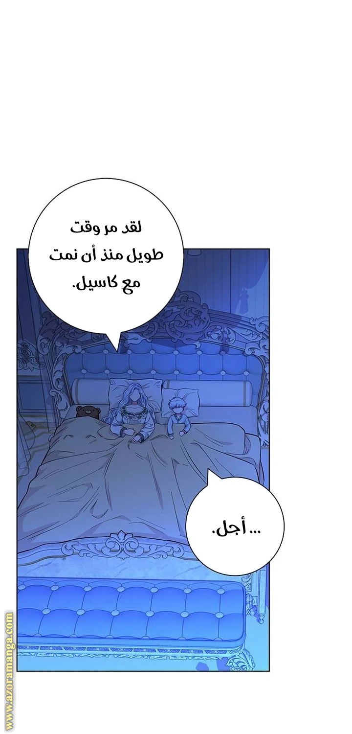 الصفحة 26