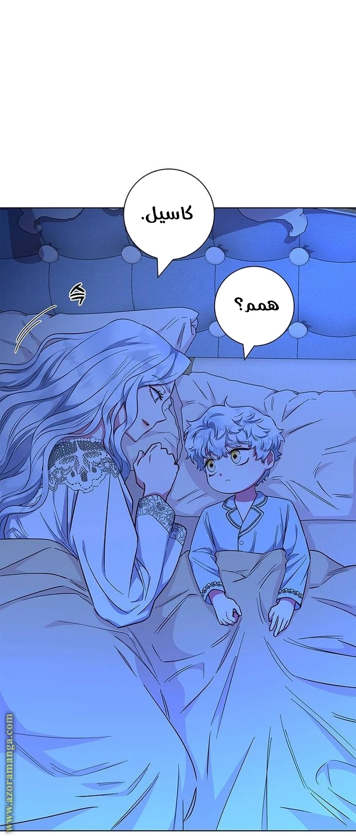 الصفحة 27