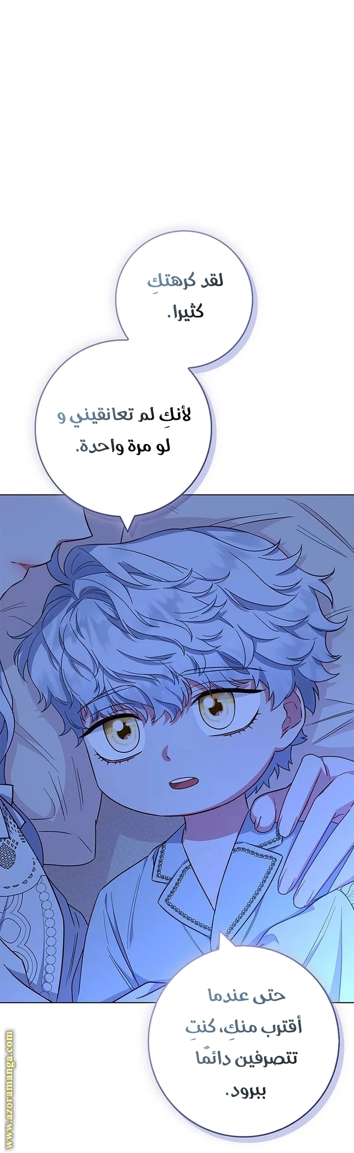 الصفحة 29
