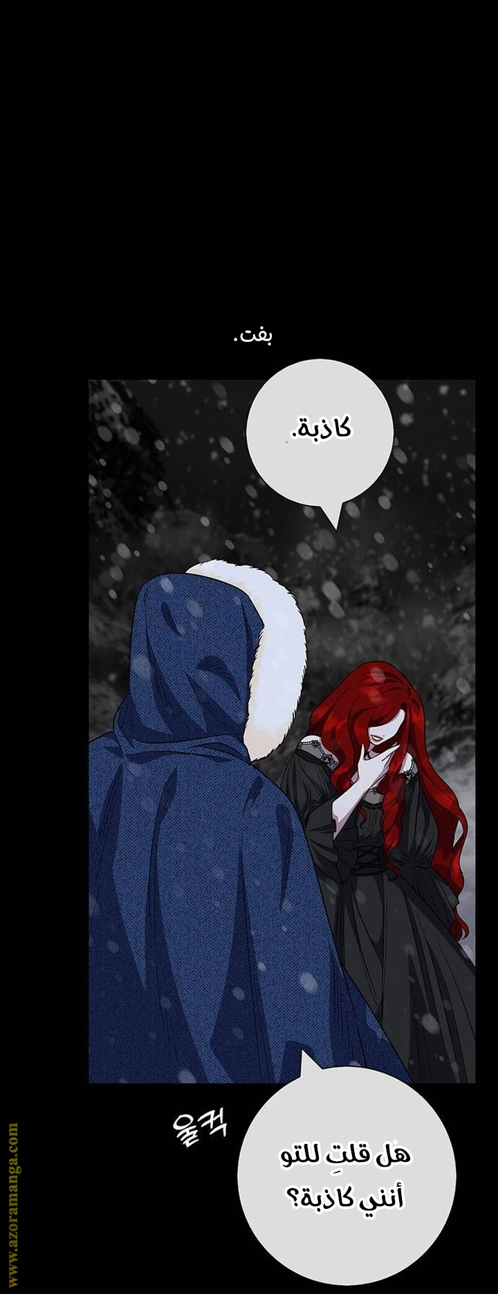 الصفحة 41