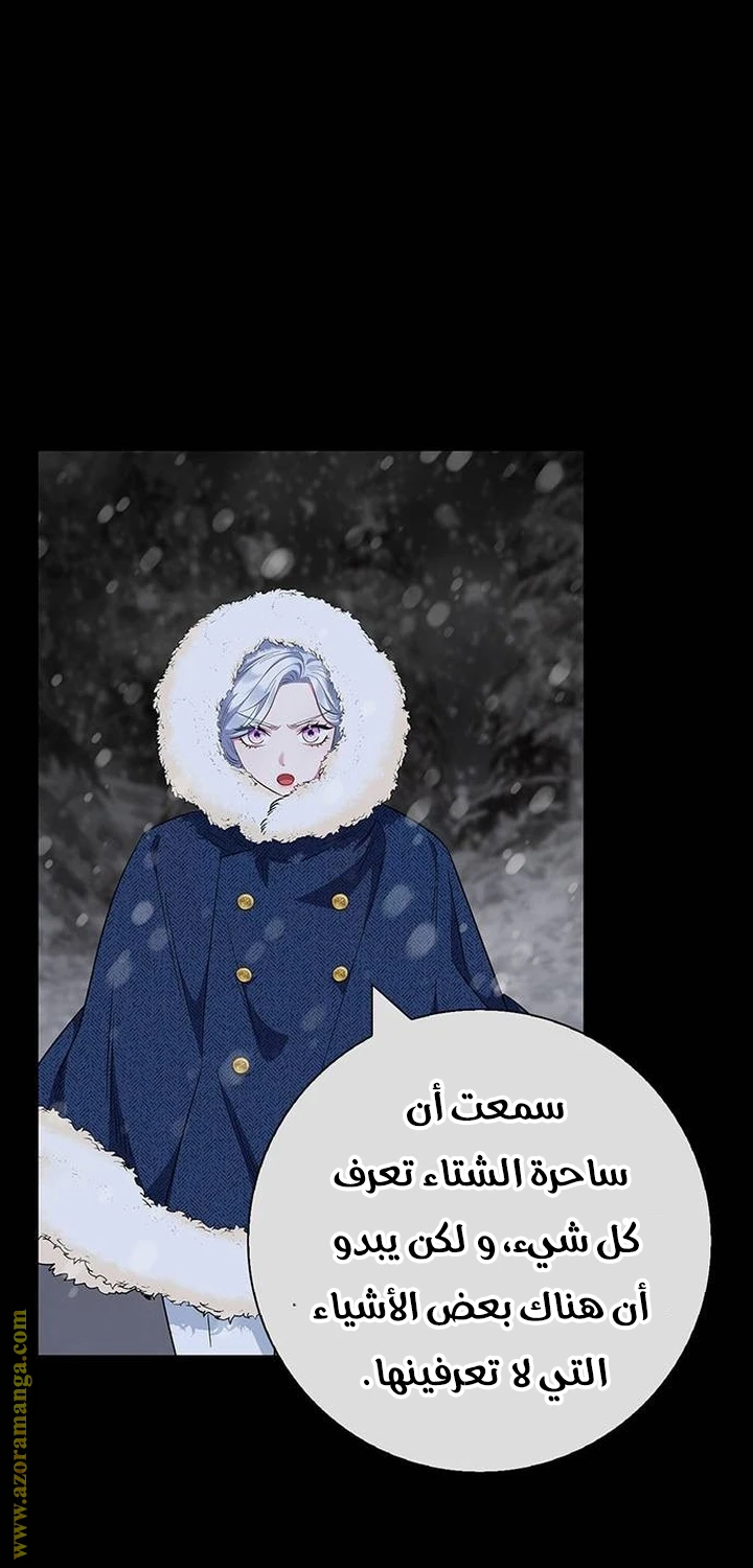 الصفحة 42