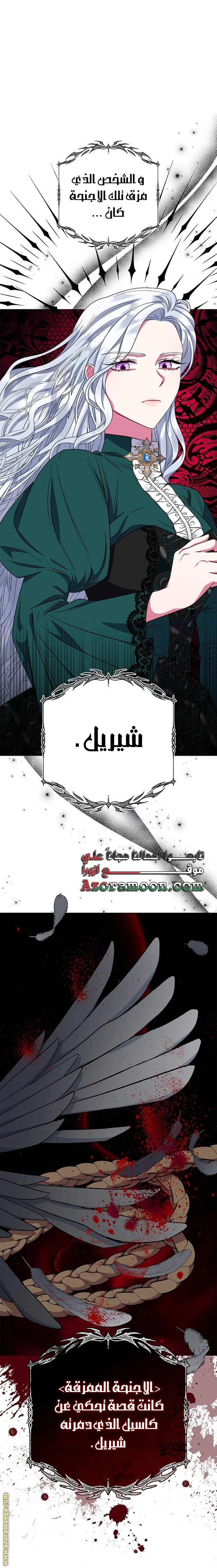 الصفحة 53