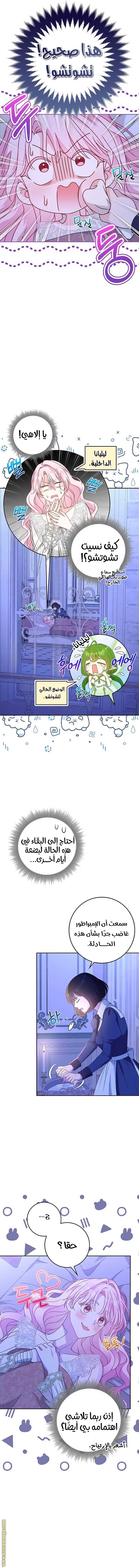 الصفحة 10
