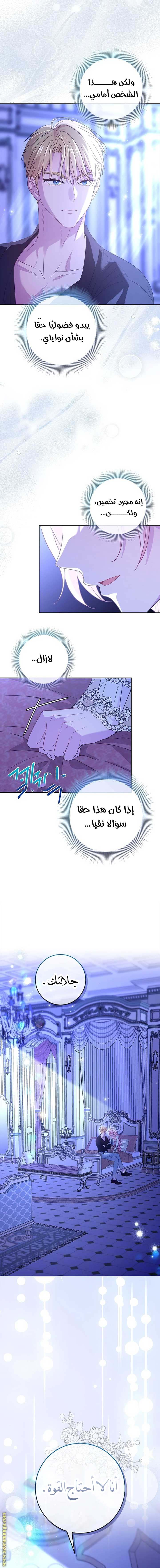 الصفحة 17