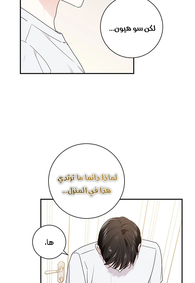 الصفحة 24