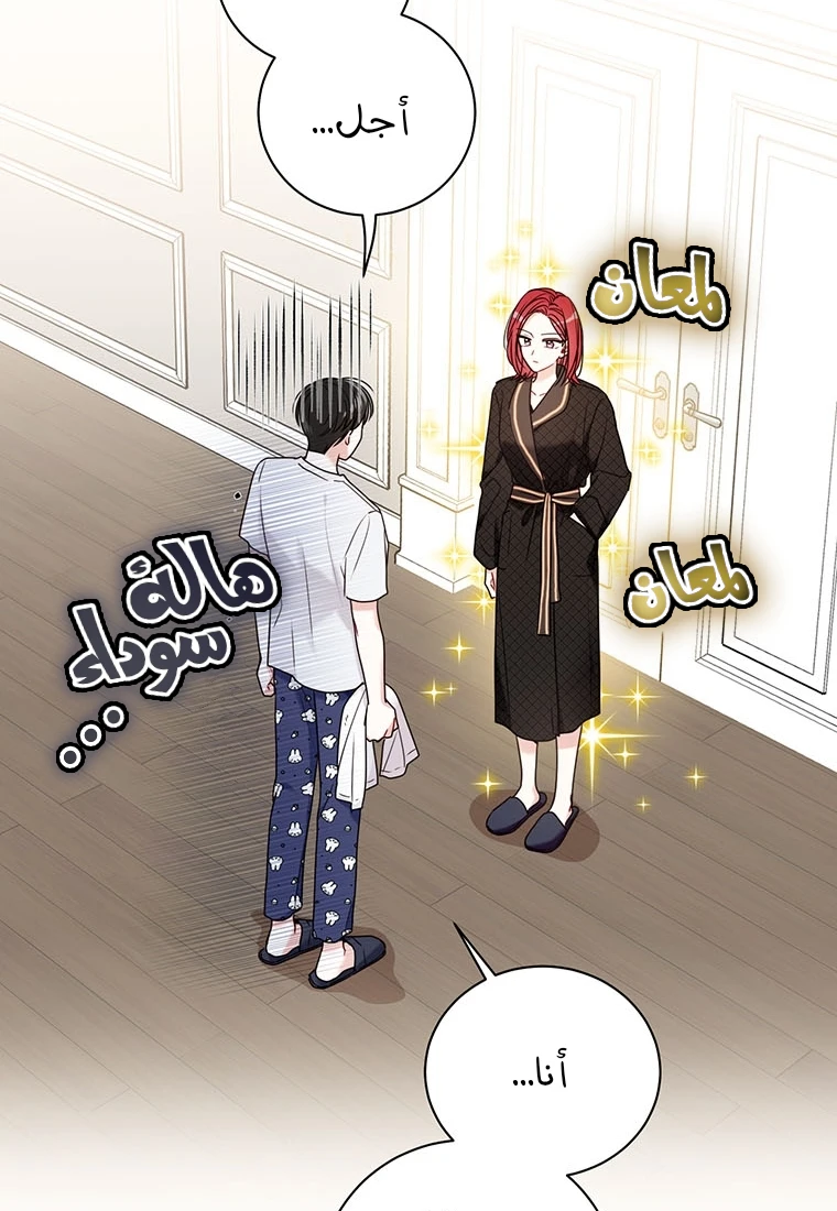 الصفحة 27