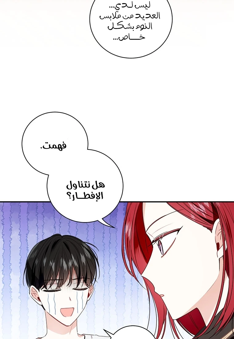 الصفحة 28