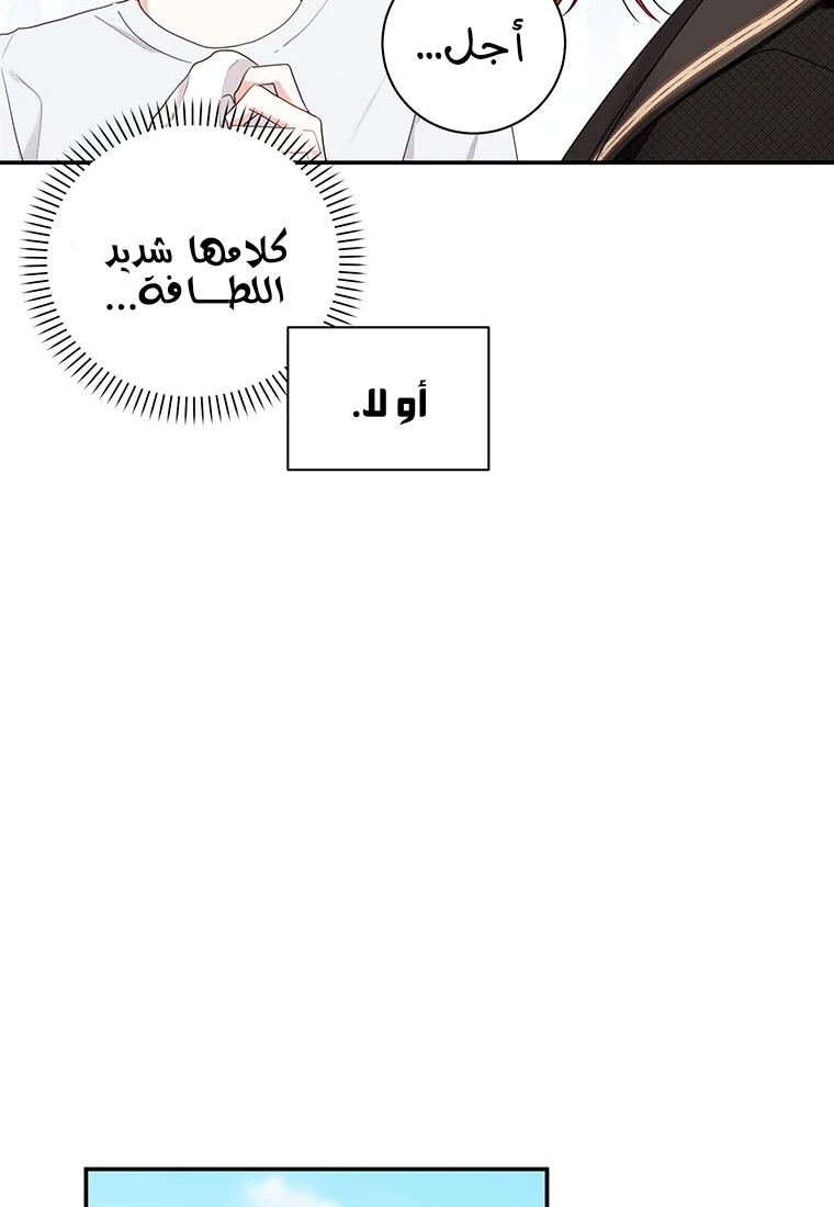 الصفحة 29