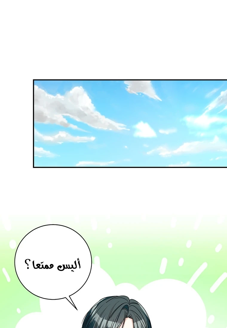 الصفحة 42