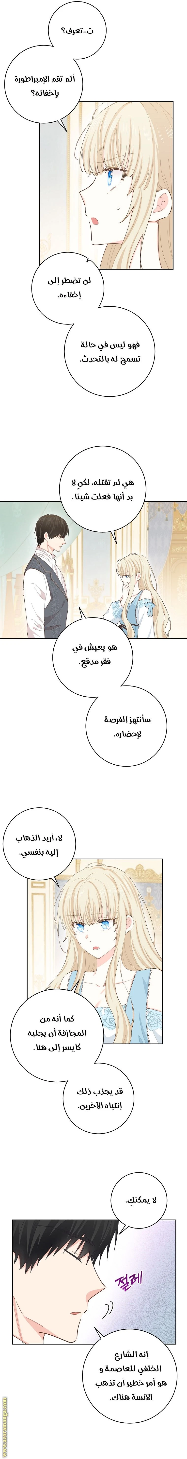 الصفحة 13