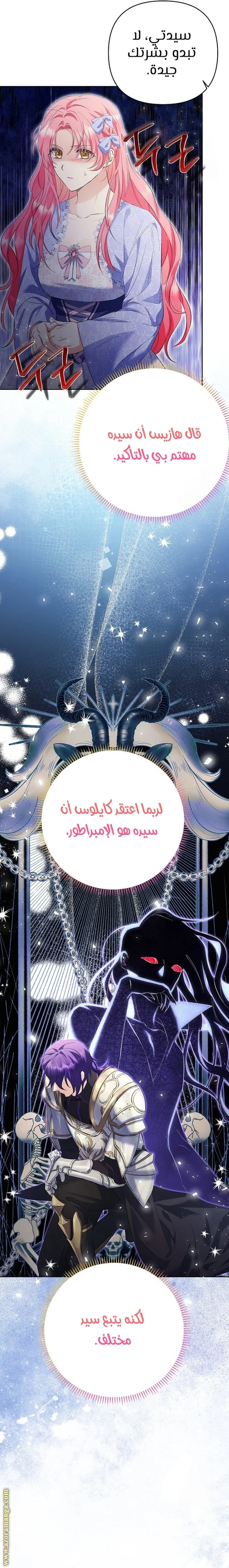 الصفحة 13