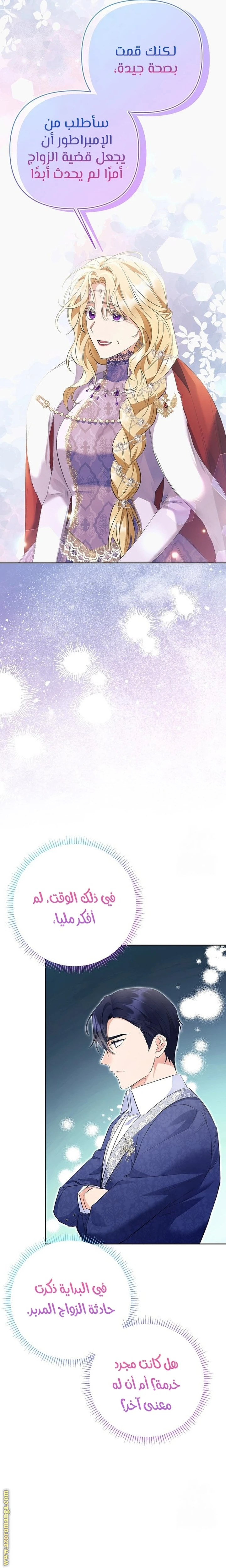 الصفحة 27