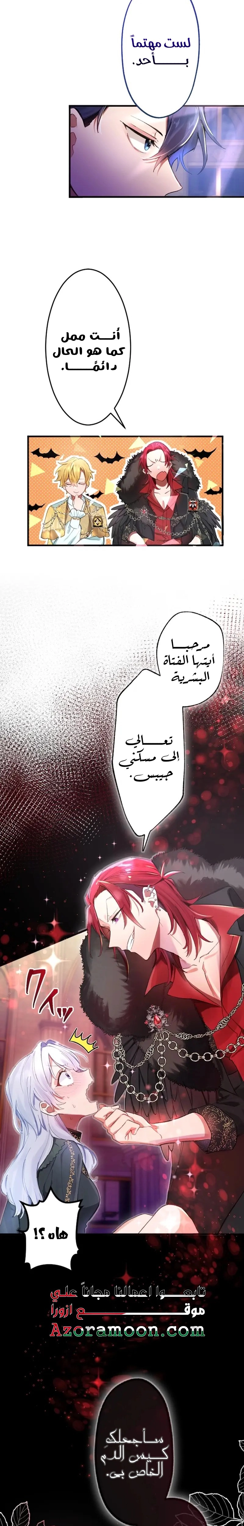 الصفحة 17