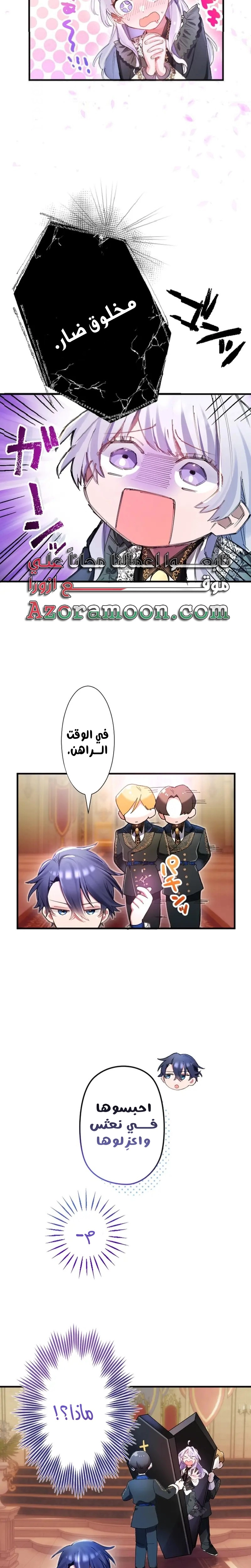 الصفحة 21