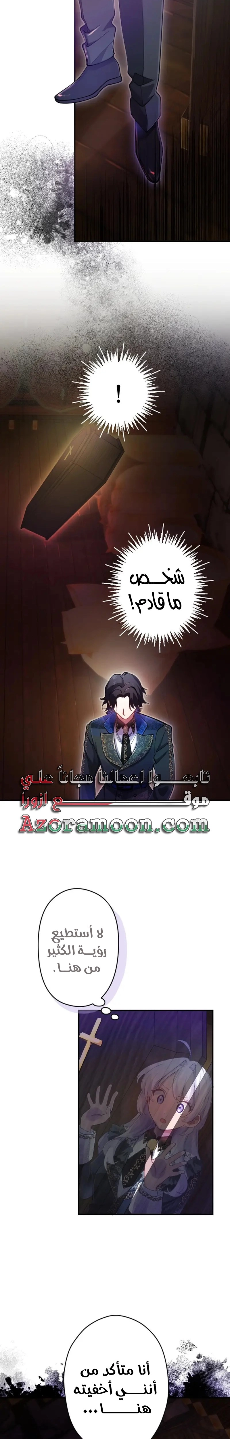 الصفحة 27