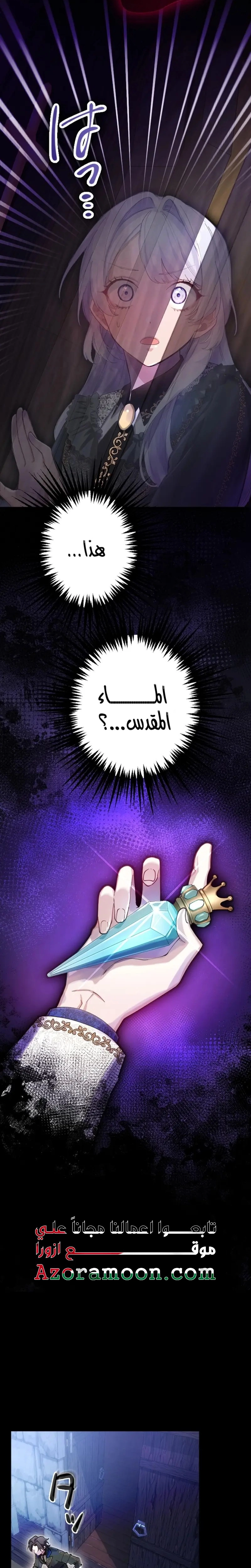 الصفحة 29