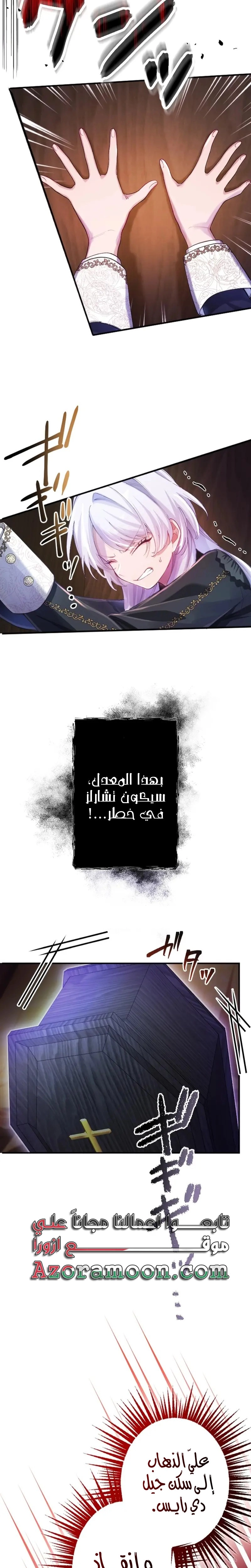 الصفحة 31
