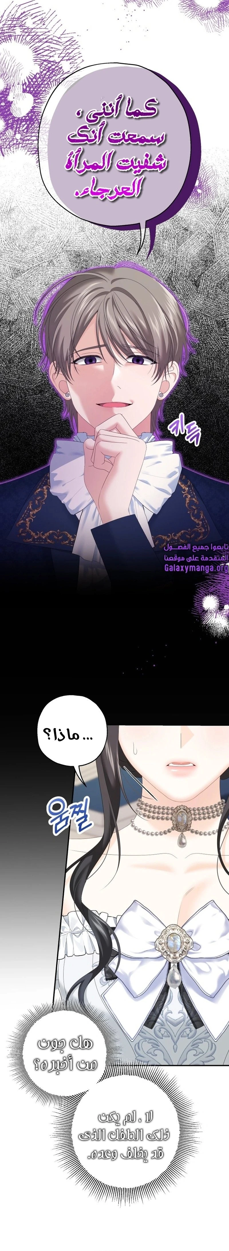 الصفحة 12